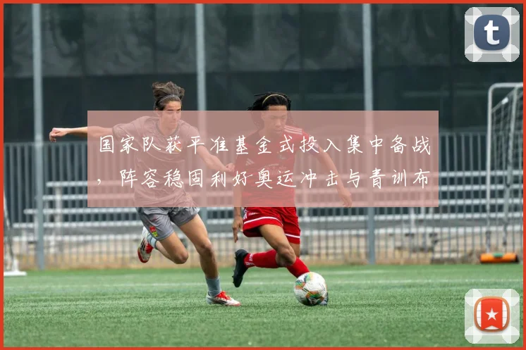 国家队获平准基金式投入集中备战，阵容稳固利好奥运冲击与青训布局