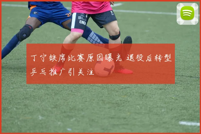 丁宁缺席比赛原因曝光 退役后转型乒乓推广引关注