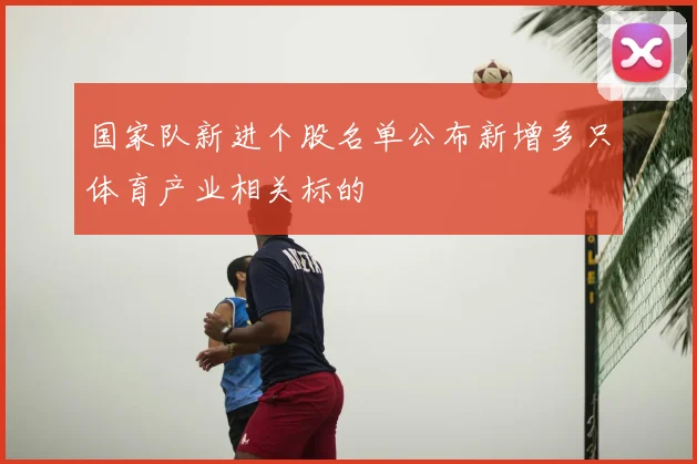 国家队新进个股名单公布新增多只体育产业相关标的