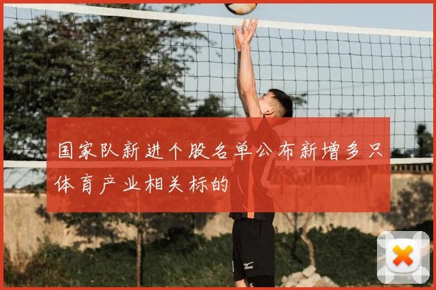 国家队新进个股名单公布新增多只体育产业相关标的