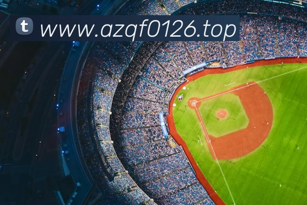 奇异果体育官网服务体系